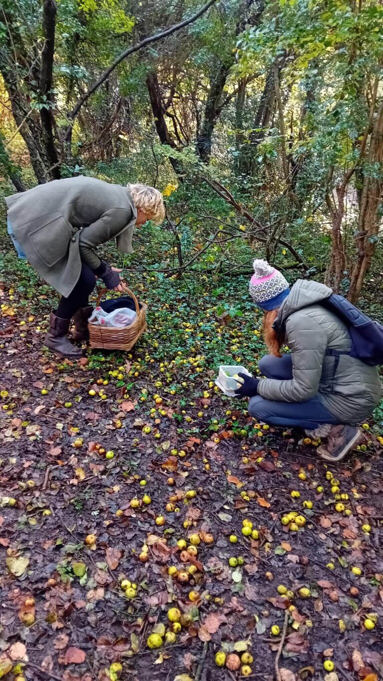 two people crouched down, collecting foraged items in baskets on foraging walks in Surrey