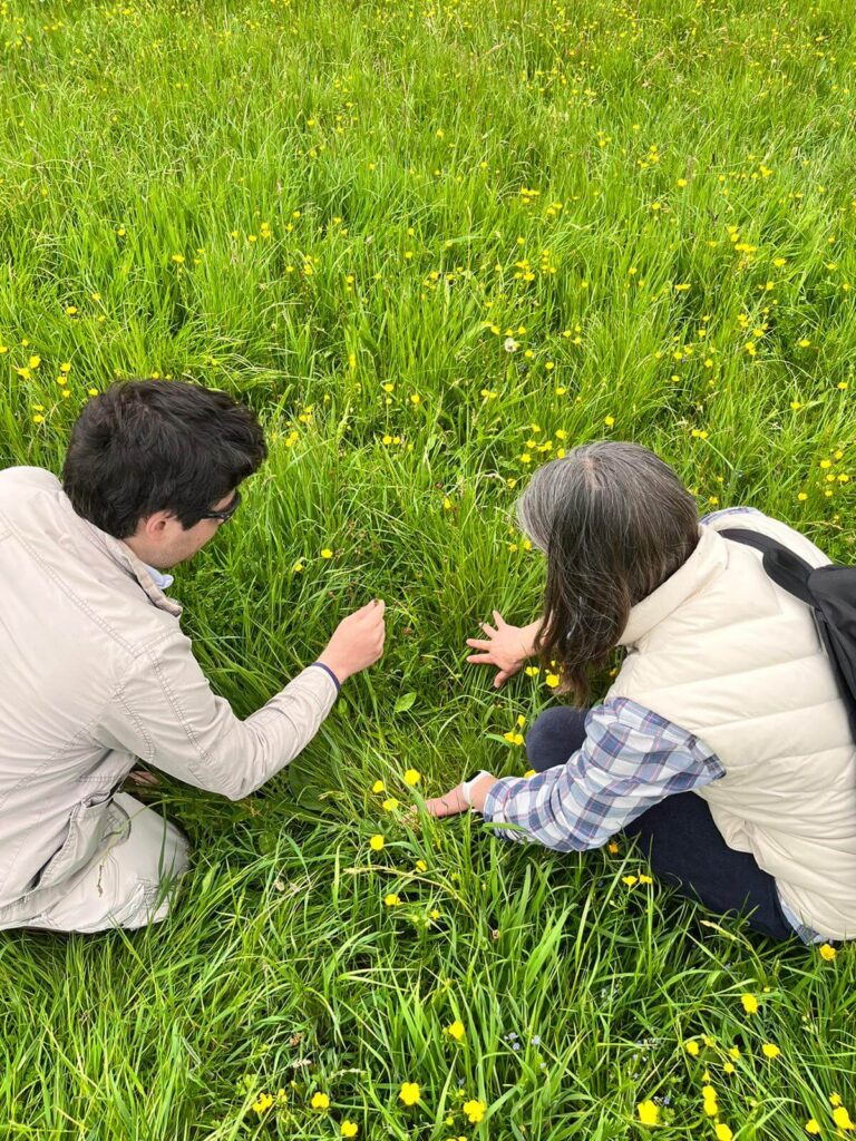 two people on a foraging walk in Surrey looking at the plants