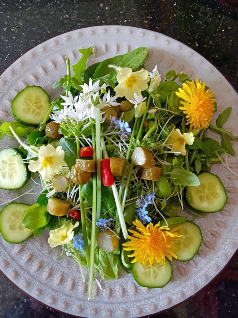 colourful foraged salad