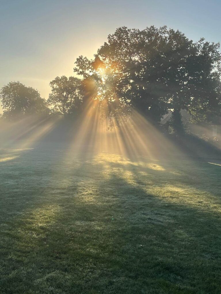 foraging walks in Surrey