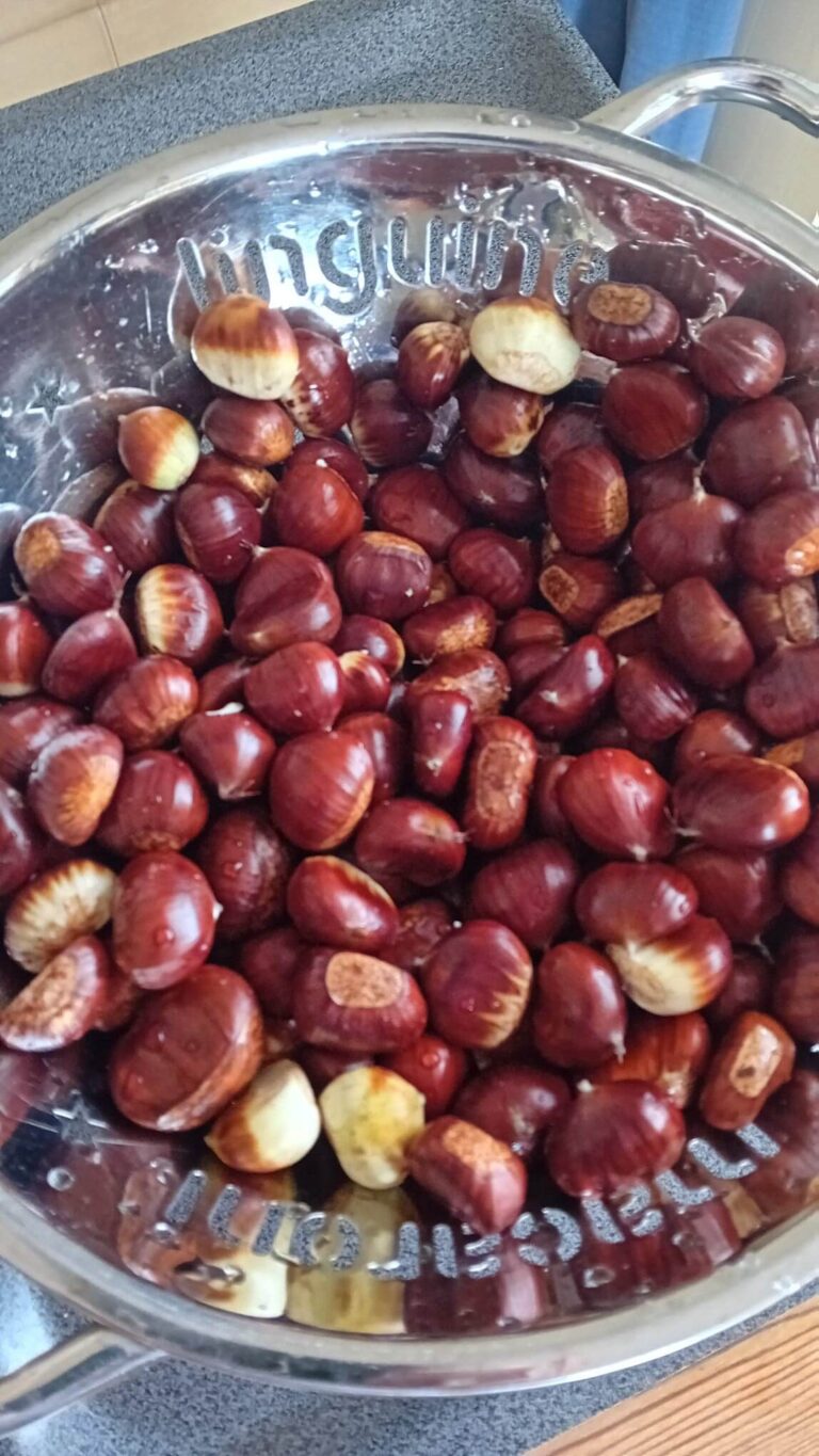 chestnuts foraged
