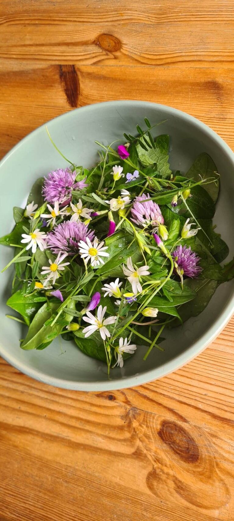 colourful foraged salad
